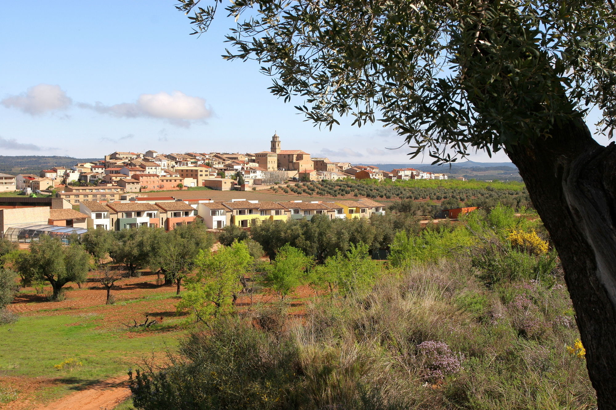 Hotel & Resort Vilar Rural D'Arnes By Serhs Hotels Sant Carlos de la Ràpita Exteriér fotografie